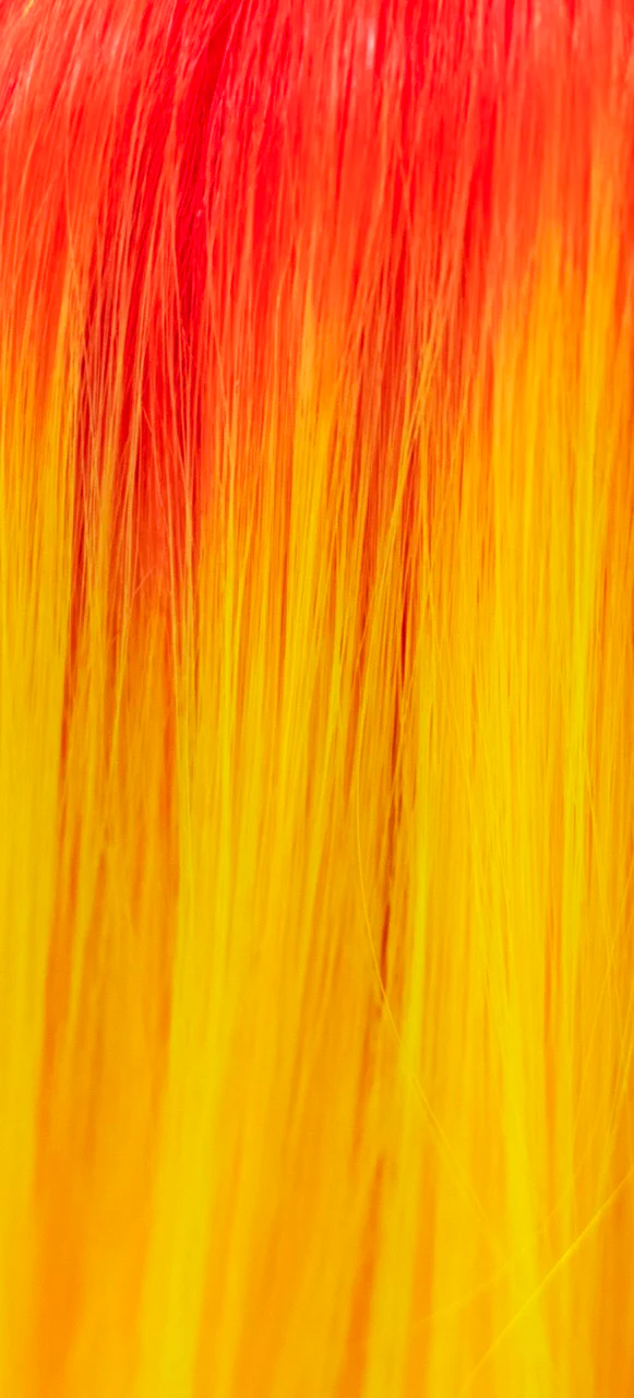 Angelica - Image 34