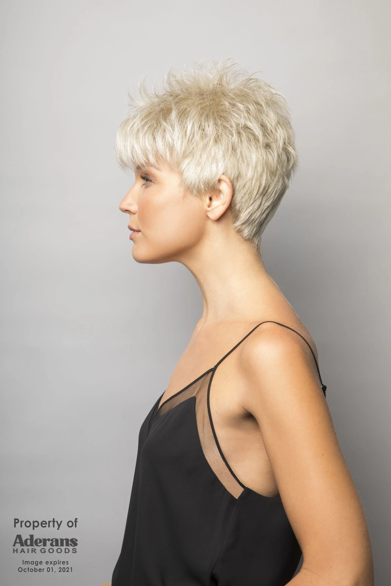 Brady - Image 3