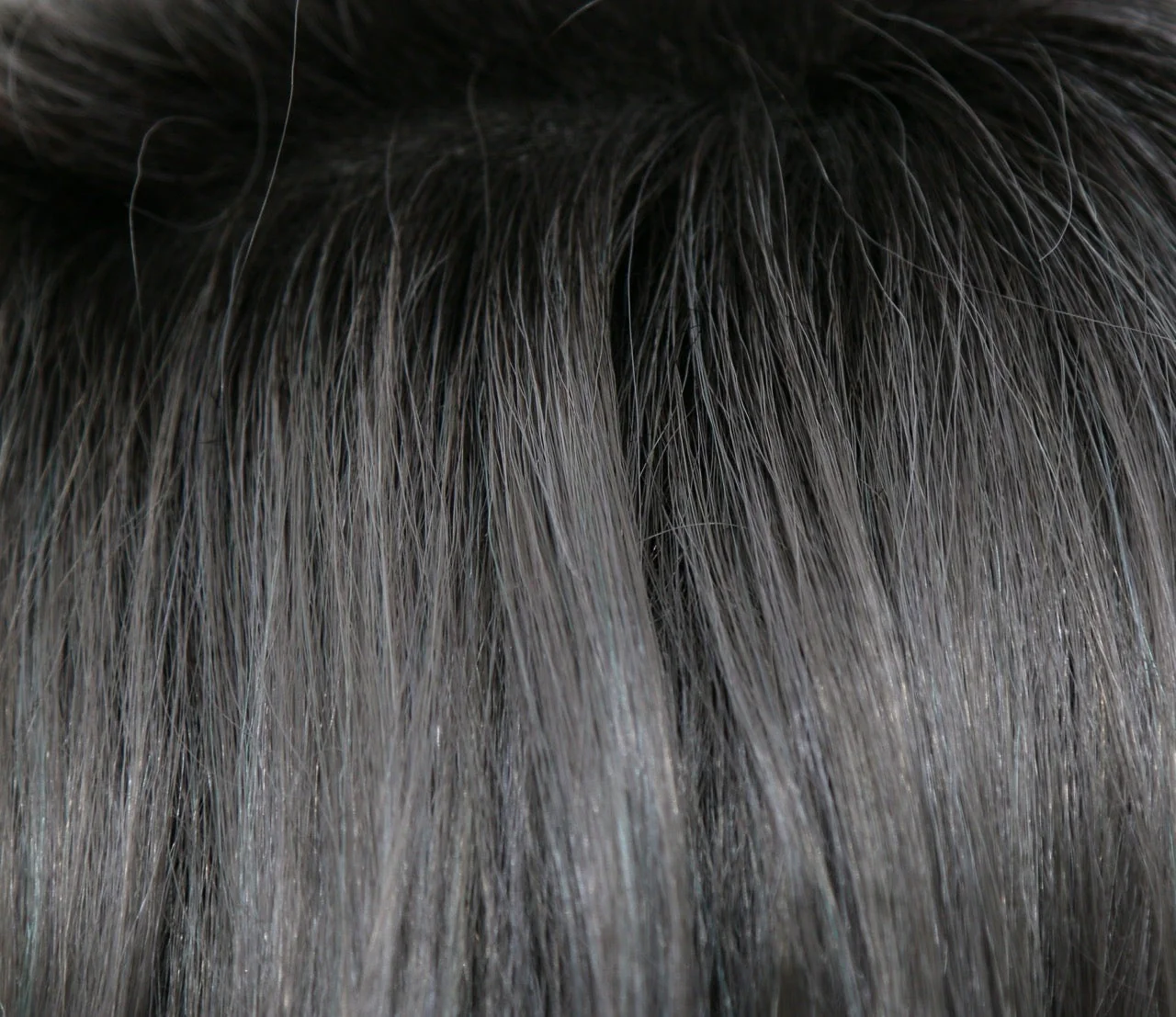 Nico - Image 19