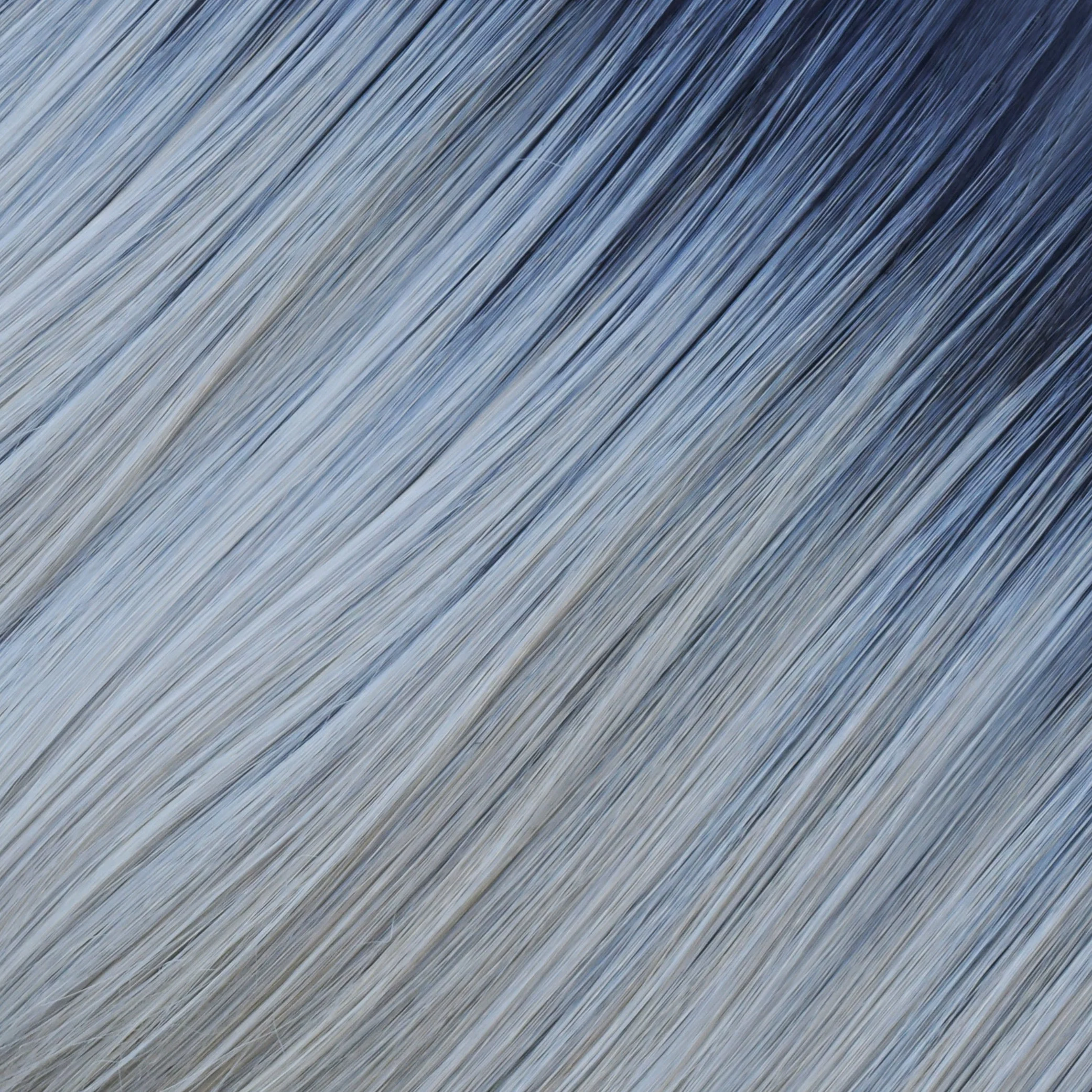 Harper - Image 17