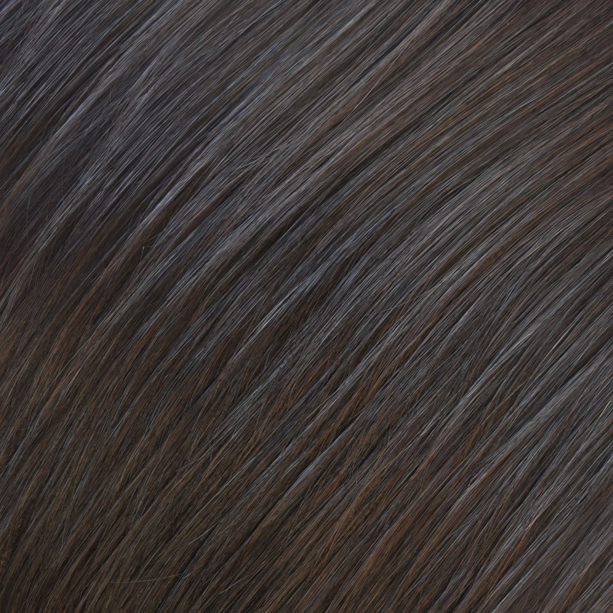 Alexa - Image 9