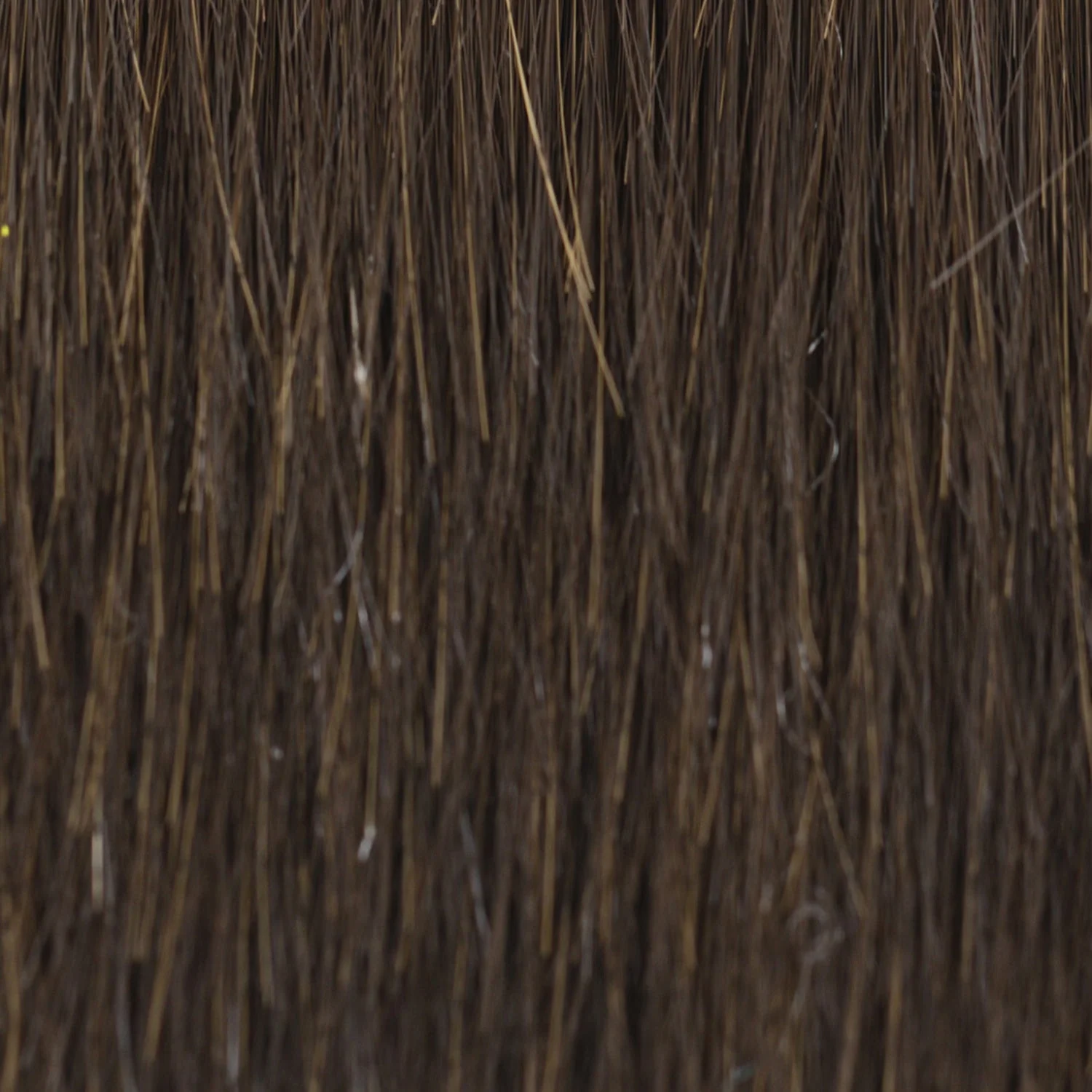 Shag Chic - Image 6