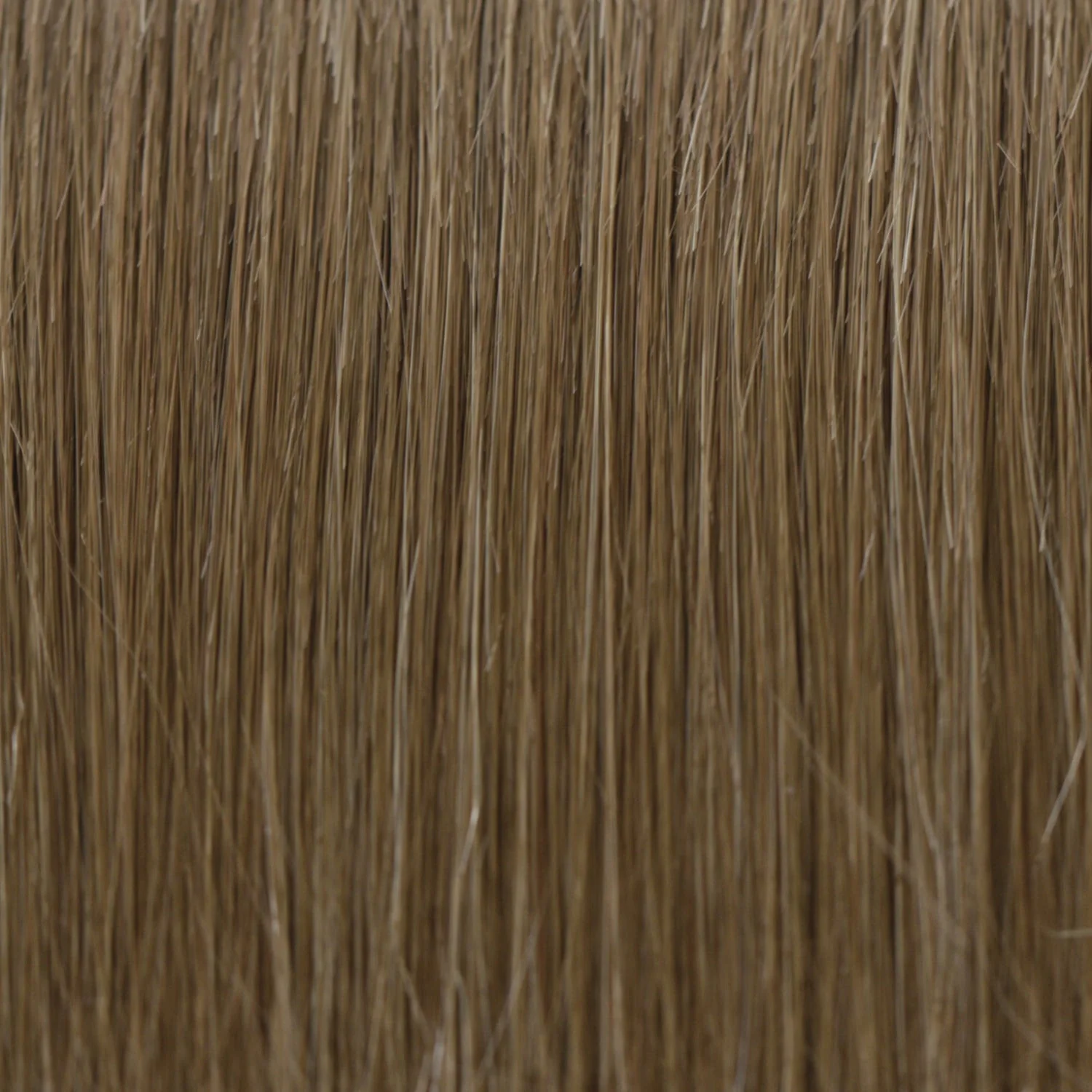 Sizzle - Open Box - Image 7