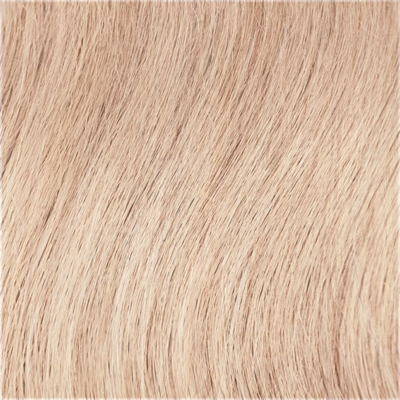 Sophisticate - Image 17